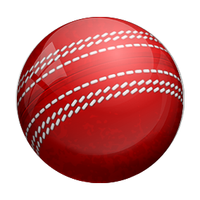 Cricket Acrylic Awards