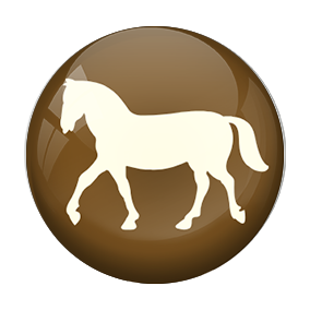 Horse Riding Acrylic Awards