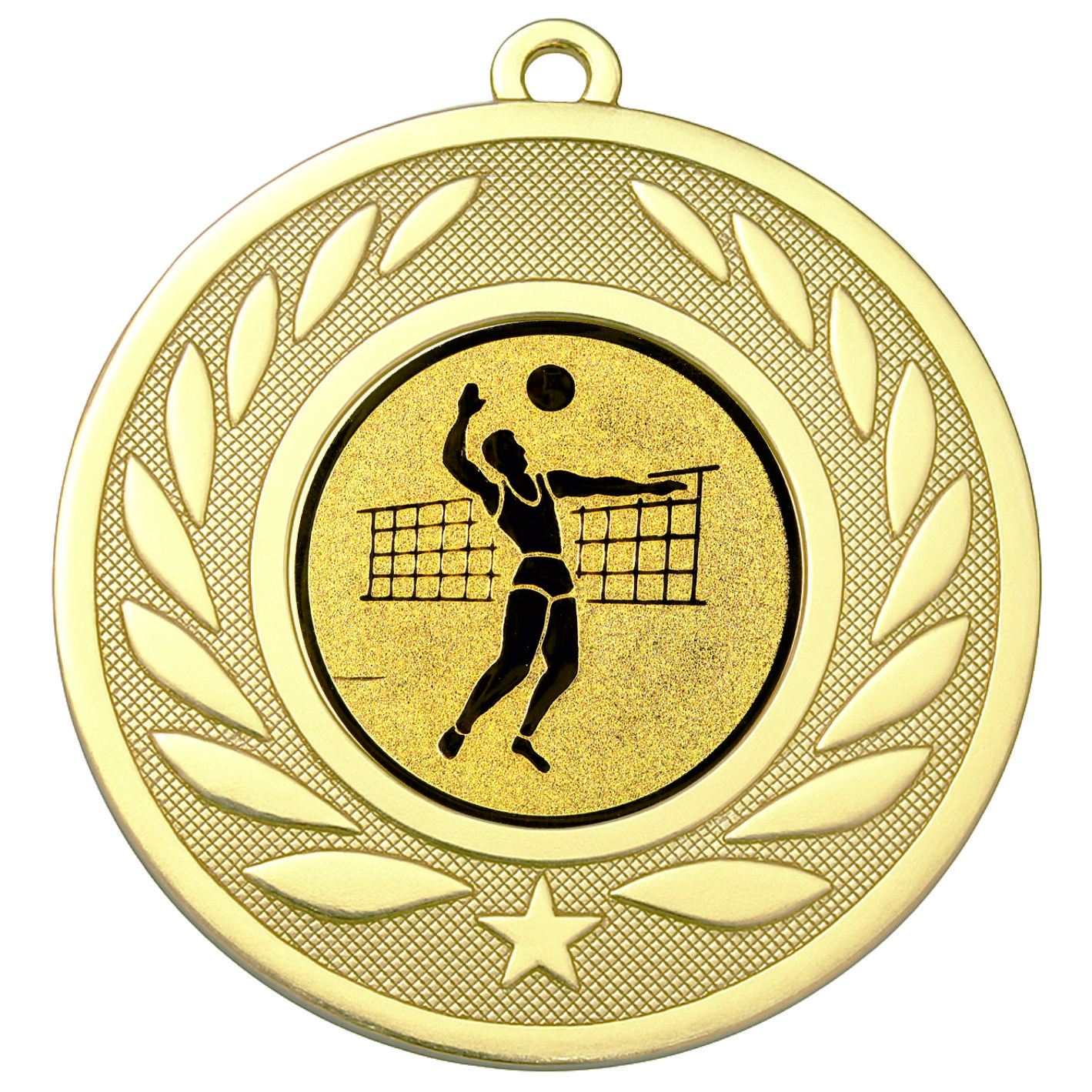 Gold Laurel Male Volleyball Medal-FREE Ribbon-BIE.M9459.01