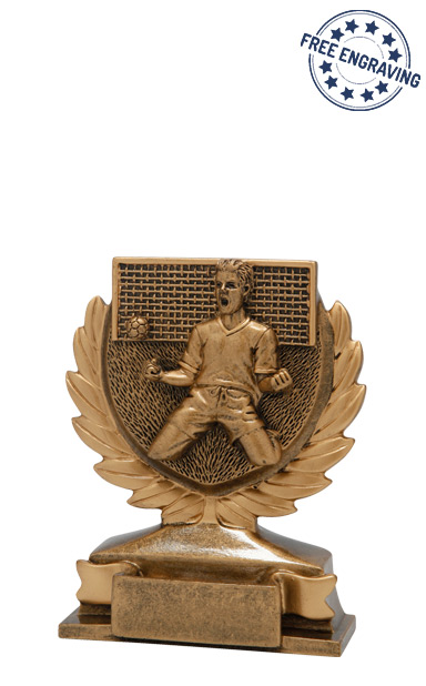 BEST VALUE - Celebrate Football Wreath Award - FG149.13