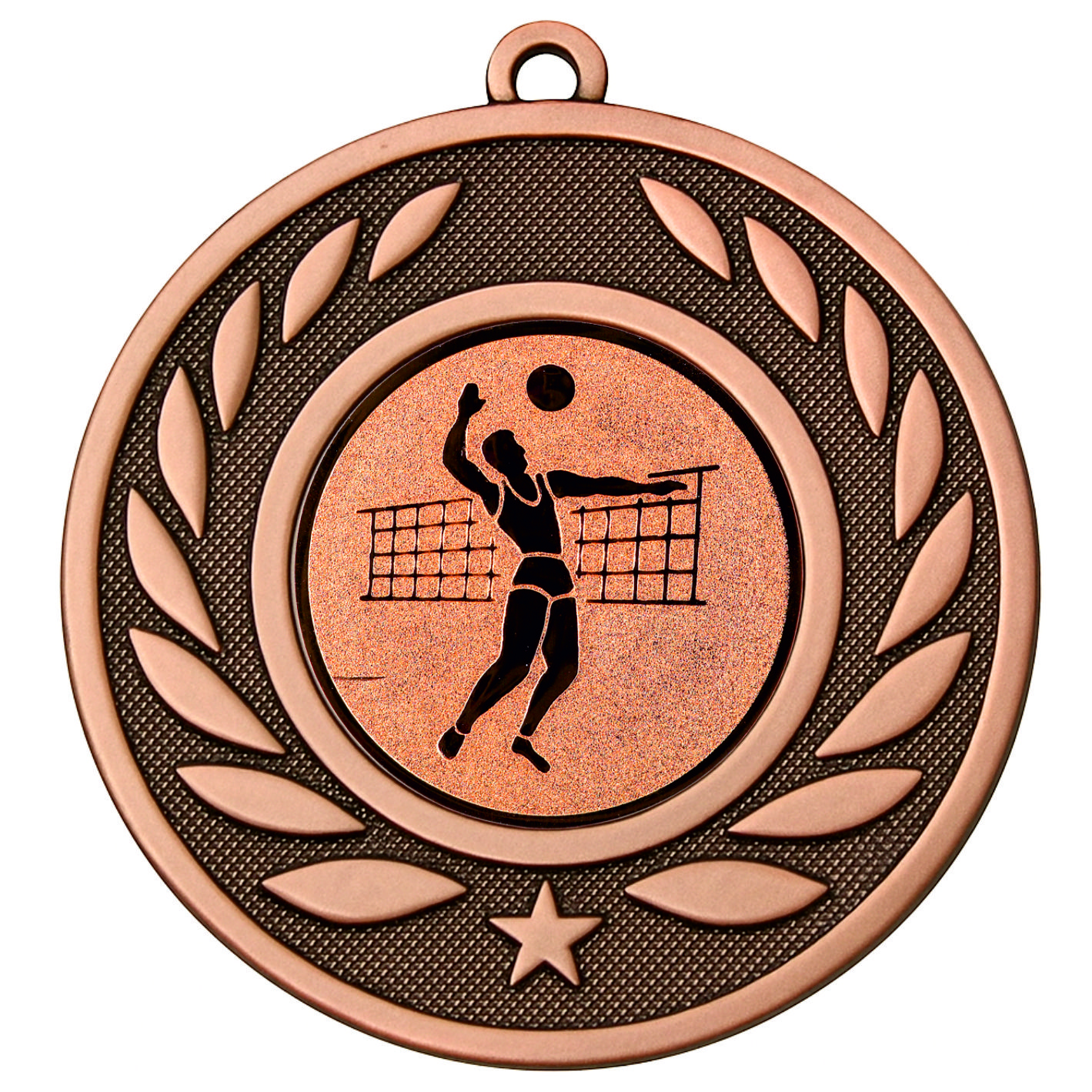 Bronze Laurel Male Volleyball Medal-FREE Ribbon-BIE.M9459.03