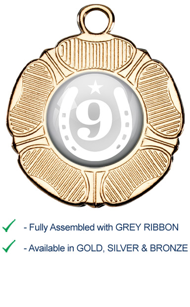 9th Place Equestrian Medal with Grey Ribbon - M519