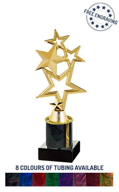 Gold Multi Star Award (21.5cm)- T.2238-2