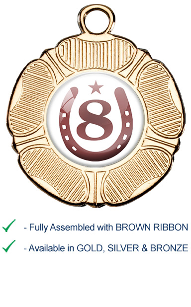 8th Place Equestrian Medal with Brown Ribbon - M519