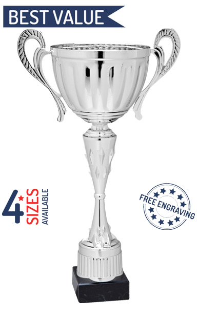 Silver Vertical Lined Presentation Cup Handle Trophy FREE Engraving sailing gym 