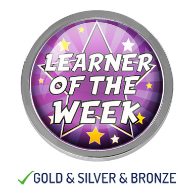 HIGH QUALITY METAL STAR LEARNER OF THE WEEK BADGE - 22mm-