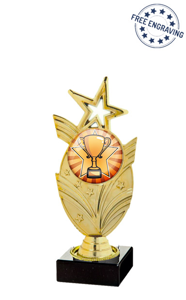Bronze Cup Star Centre Series Award (19cm) - T.9301