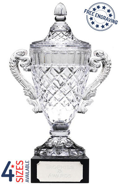 Merit Glass Cup with Handles - KK132