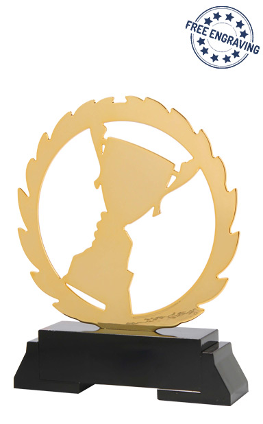 BEST VALUE - HEAVYWEIGHT Gold Winners Cup Laser Standard Award - L230