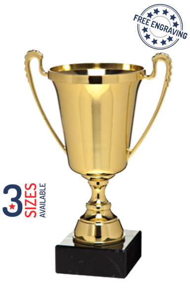 ISA Personalised The Moment Gold Presentation Cup with Metal Bowl- X78_.01