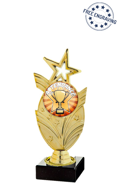 Bronze Attendance Star Series Award (19cm) - T.9301