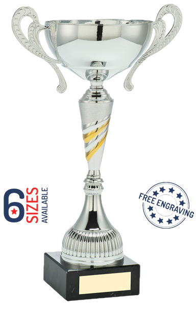 Silver & Gold Bowl Cup with Handles - AT29