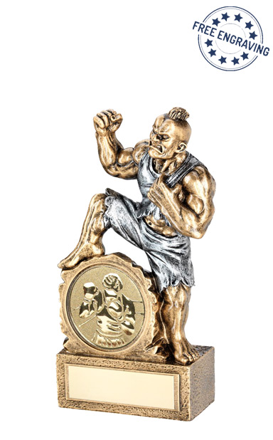 Pinnacle Boxing Man Trophy Solid Resin Free Engraving 