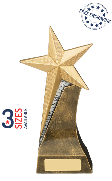 School Achievement Star Resin Award- RM722