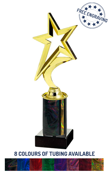 Gold Shooting Star Award (24cm)- T.1980-3