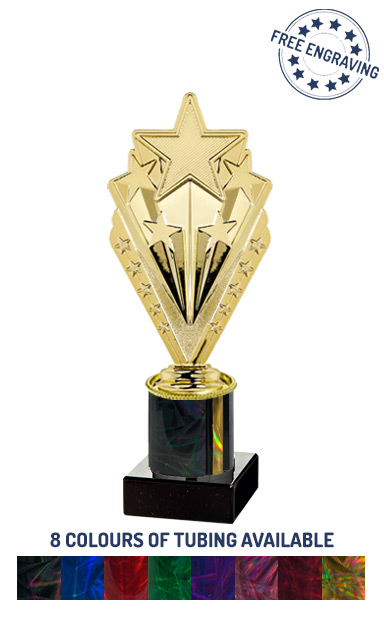 Gold Multi Shooting Star Award (20.5cm) - T.2090-2