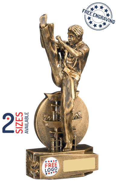 Resin Ultimate Boxing Figure Trophies Martial Arts Awards 4 sizes FREE Engraving 