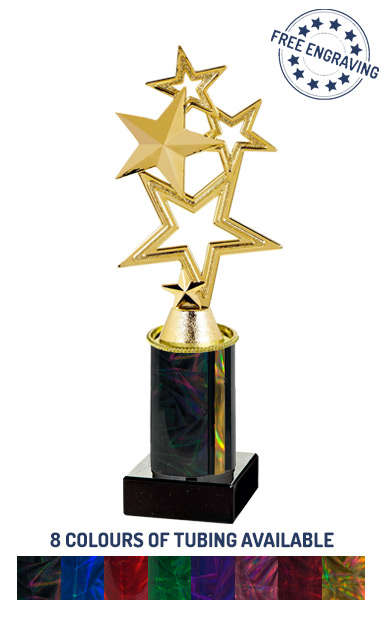 Gold Multi Star Award (24cm) - T.2238-3