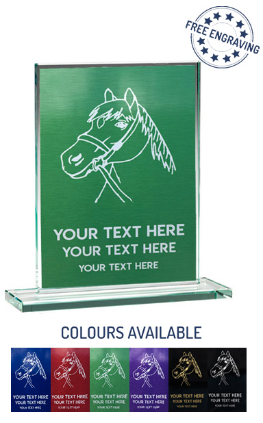 Horses Head Coloured Glass Plaque Award (16.5cm)