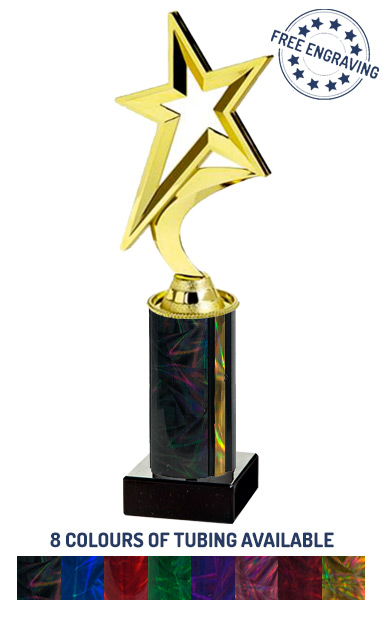 Gold Shooting Star Award (26.5cm)- T.1980-4