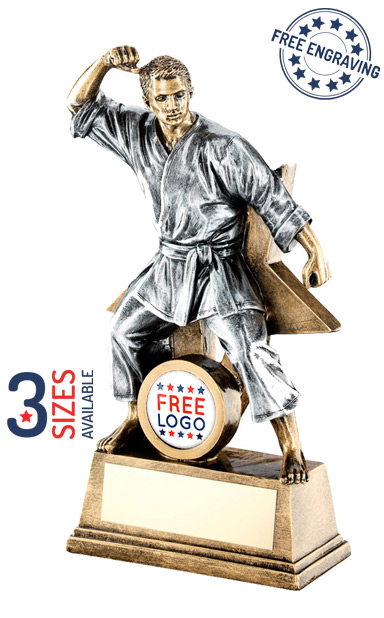 Male Martial Arts Resin Figure Trophy- RF185