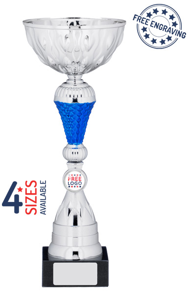 Silver & Blue Netted Cup Trophy - A1112