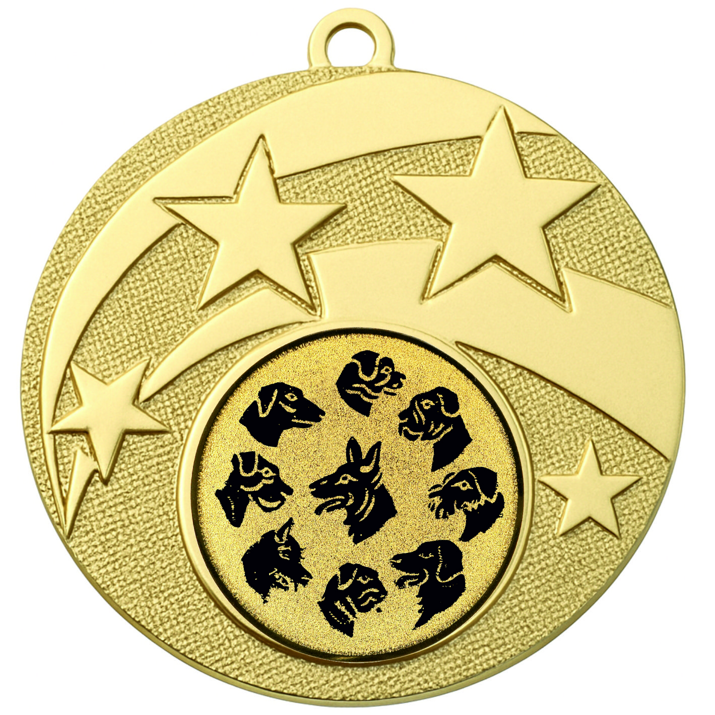 Gold Star Multi Dog Medal - FREE Ribbon - BIE.M9457.01