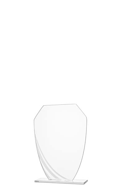 Glass Award with Silver Detailing  - W191.20