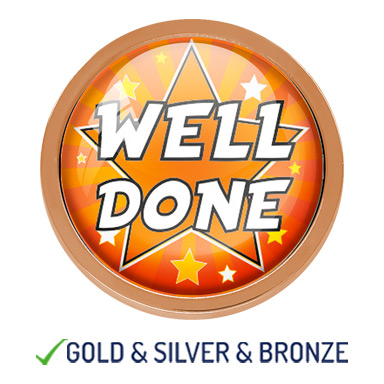 HIGH QUALITY METAL STAR WELL DONE BADGE - 22mm