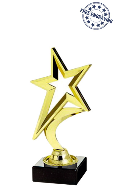 Gold Shooting Star Award (18.5cm)- T.1980