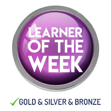 HIGH QUALITY METAL LEARNER OF THE WEEK BADGE - 22mm