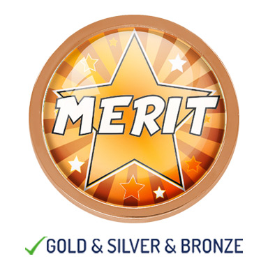 HIGH QUALITY METAL BRONZE MERIT STAR ROUND BADGE - 22mm