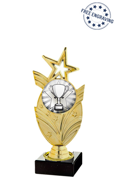 Silver Cup Star Centre Series Award (19cm) - T.9301