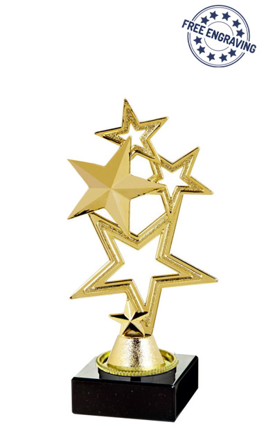 Gold Multi Star Award (18.5cm)- T.2238