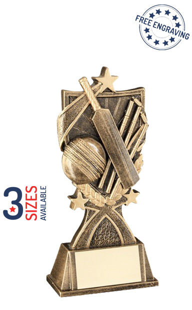 Cricket Bat and Ball Shield Resin Trophy - RF466