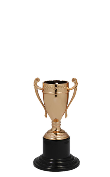 Miniature Bronze Cup Award (10.5cm)- DC001.26