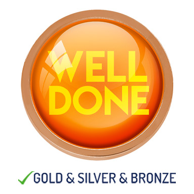 HIGH QUALITY METAL WELL DONE BADGE - 22mm