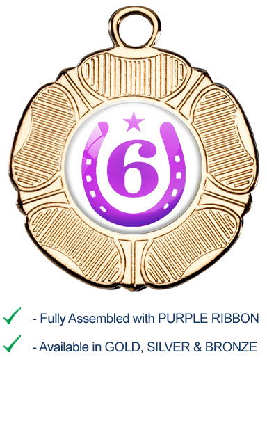 6th Place Equestrian Medal with Purple Ribbon - M519