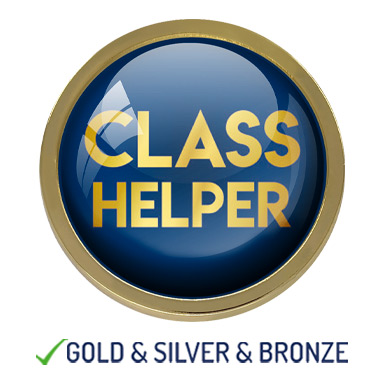 HIGH QUALITY METAL CLASS HELPER BADGE - 22mm