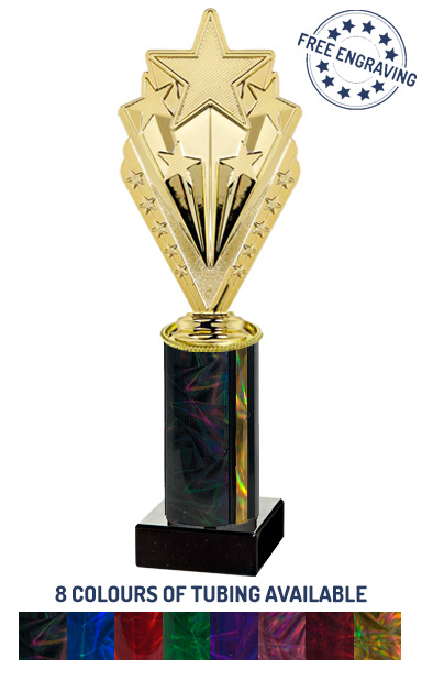 Gold Multi Shooting Star Award (25.5cm) - T.2090-4