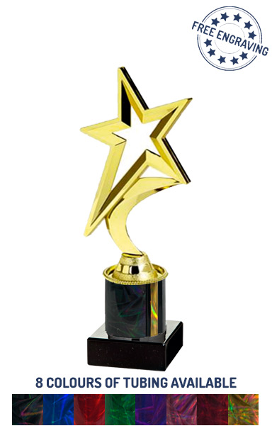 Gold Shooting Star Award (21.5cm)- T.1980-2