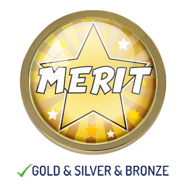 HIGH QUALITY METAL GOLD MERIT STAR ROUND BADGE - 22mm