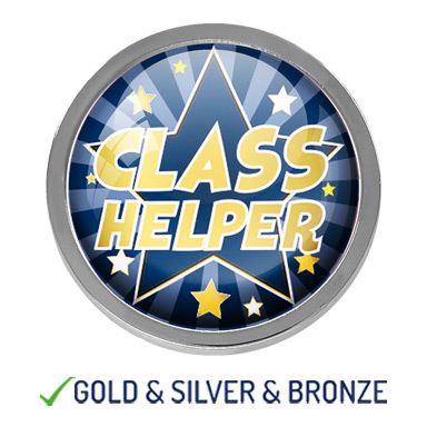 HIGH QUALITY METAL STAR CLASS HELPER BADGE - 22mm