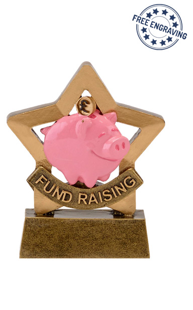 Mini Star Fund Raising Award - A1666 