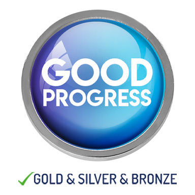 HIGH QUALITY METAL GOOD PROGRESS BADGE - 22mm